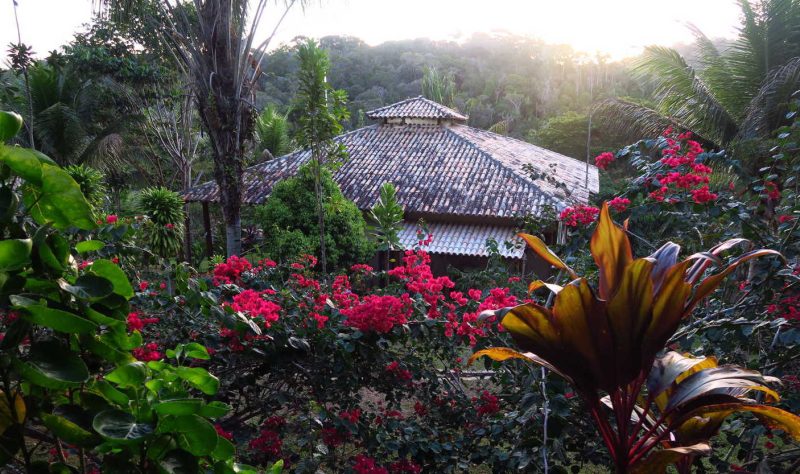 Important Things That You Need To Know About The Ayahuasca Retreat!