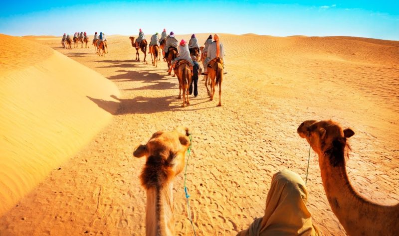One day in the Desert of Uae