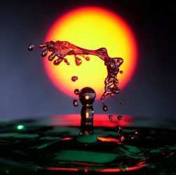 Splash, hover, high speed — Echte Bewertungen Des Spiels Plinko